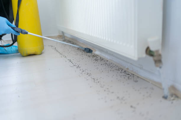 Best Pest Prevention Services  in , WI